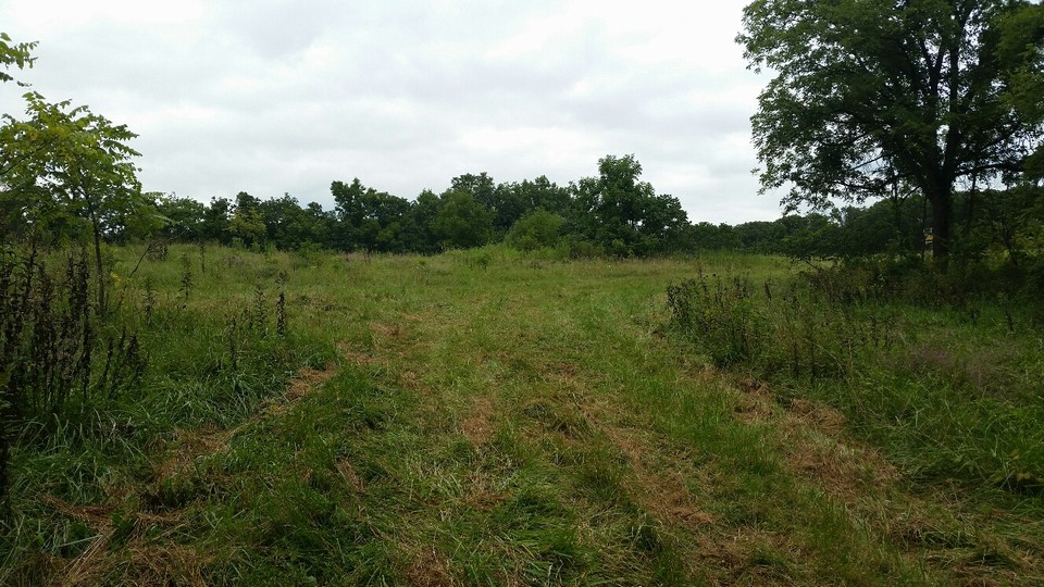 path leads to 10 ac pasture and food plots