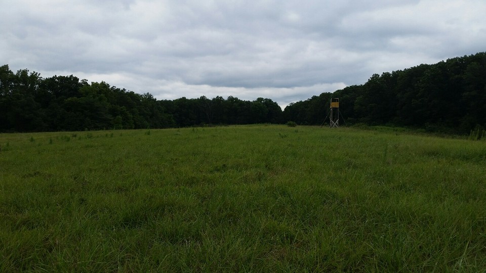 10 ac pasture with food plots  big stand