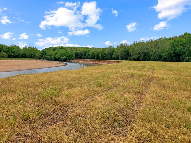old cove rd. (117.6+/- acres)