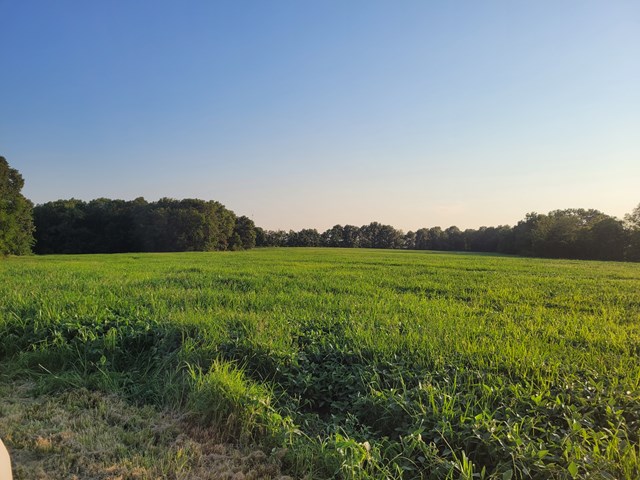 hwy dd (85.69+/- ac) tract e
