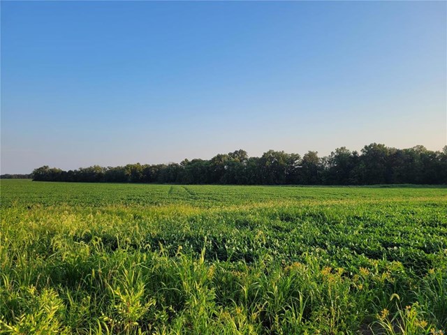 hwy dd (37.53+/- ac) tract f
