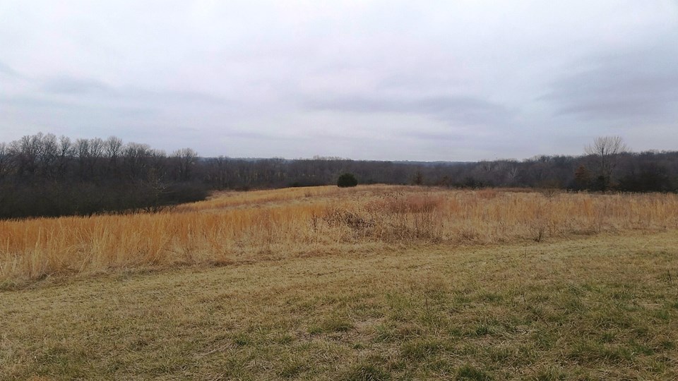 15 +/- acres ready for your dream home!