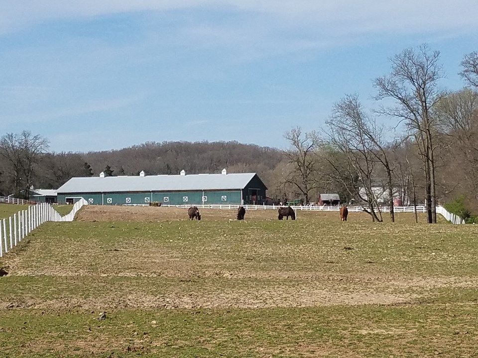 innsbrook horse stables are just a few minutes away.