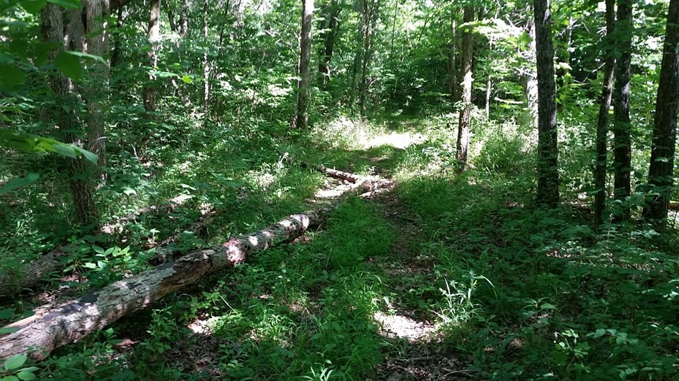 one of several trails on the property.
