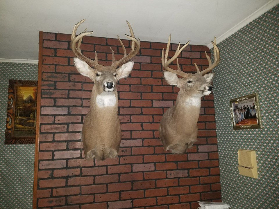 look at these two beauties!  both taken from the property.
