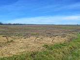 property listing