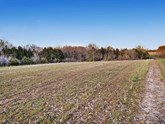 property listing