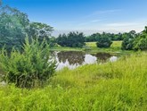 property listing