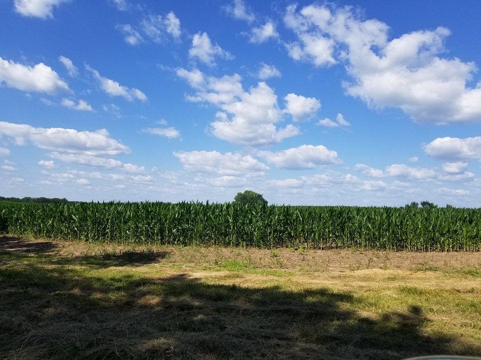 property listing image