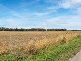 property listing