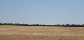 property listing