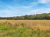 property listing