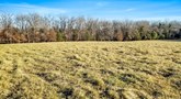 property listing