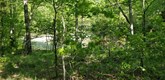 property listing