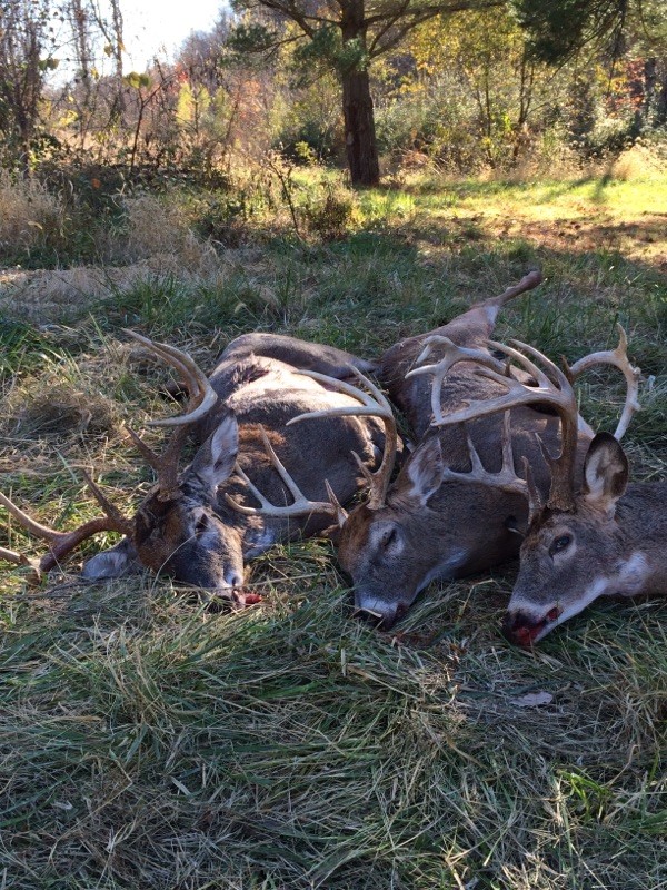 opening day 2016