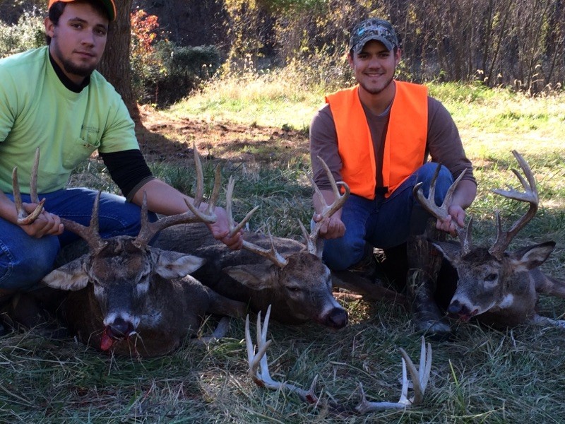 three nice bucks