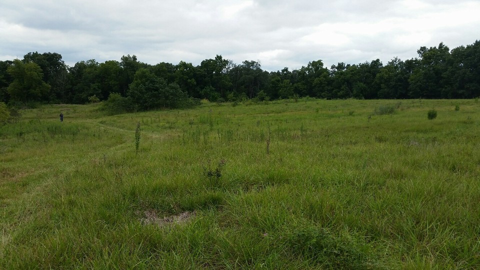 10 ac pasture