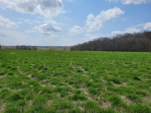 property listing