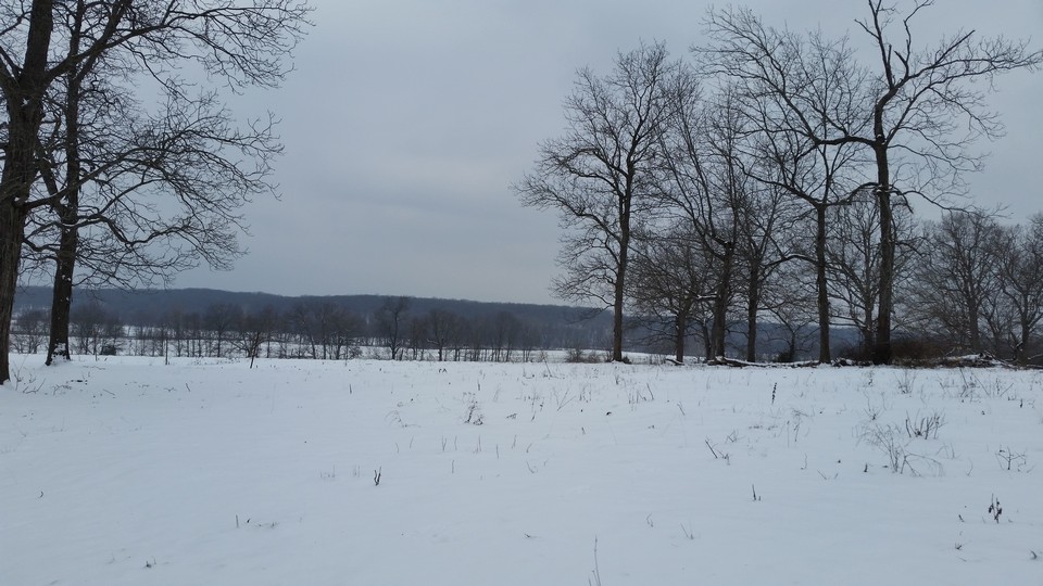 incredible views of the farm