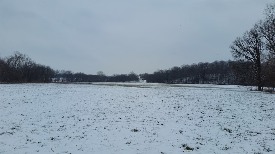 nice field at the far end is the old homestead on top of the hill.