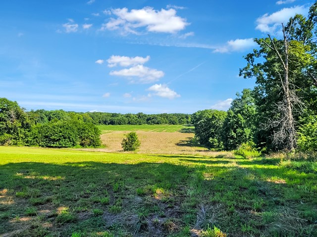 property listing