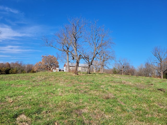 property listing