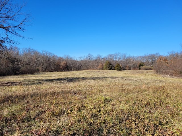 property listing
