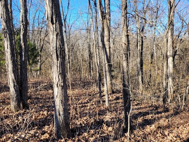 property listing