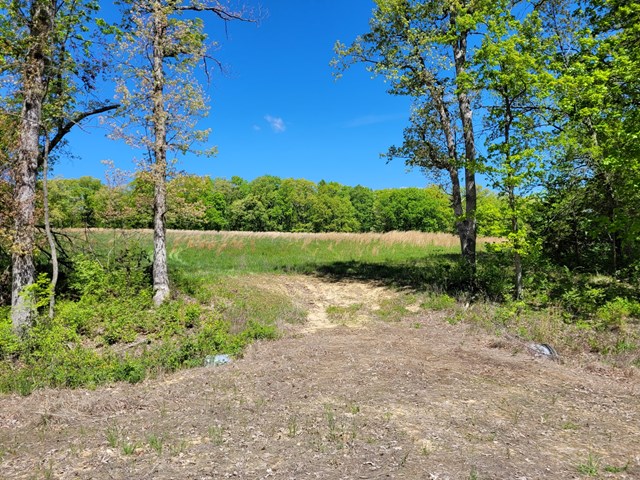 property listing