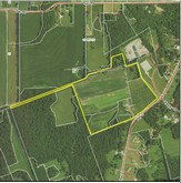 property listing