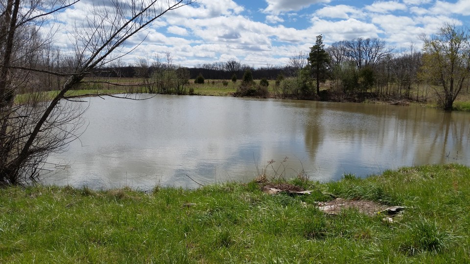 pond nice fishing pond