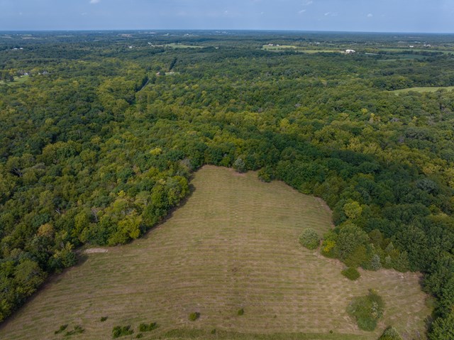 property listing