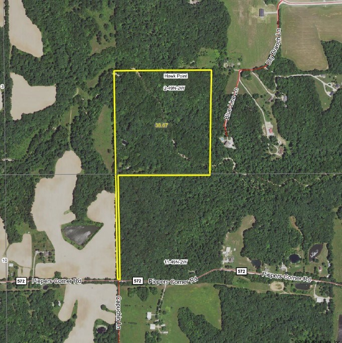 property listing image