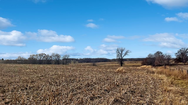 property listing