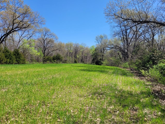 property listing