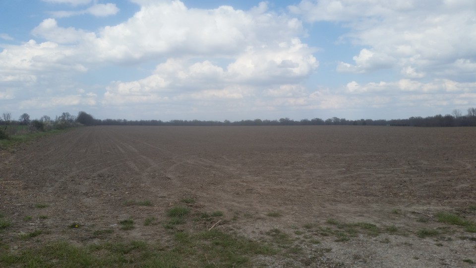 excellent soil this is not in a flood plain, well taken care of fields with excellent soil.