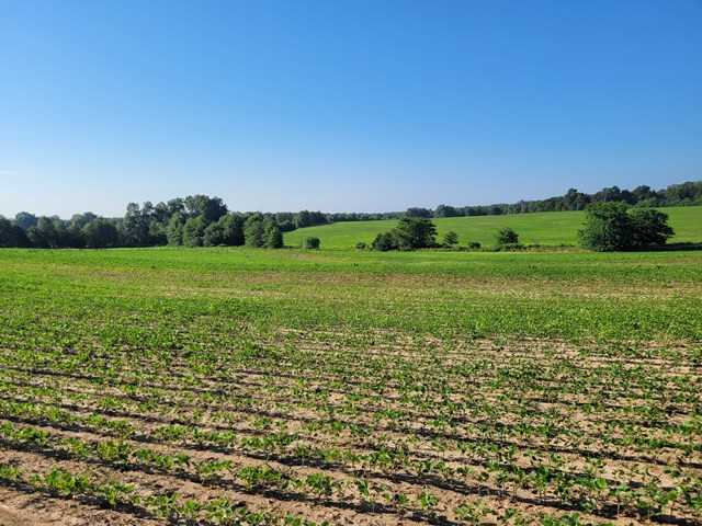 property listing