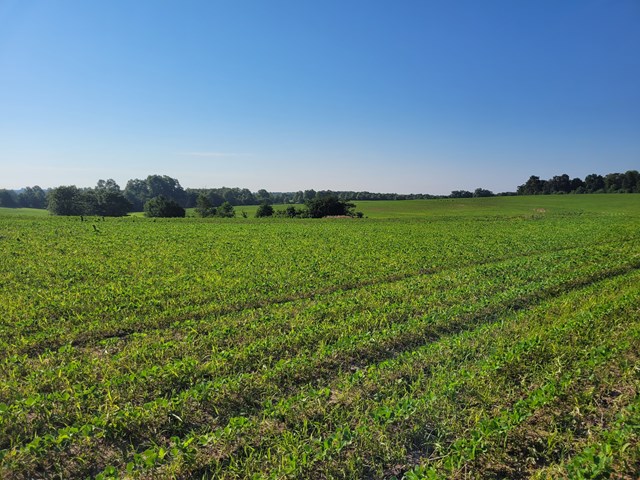 property listing