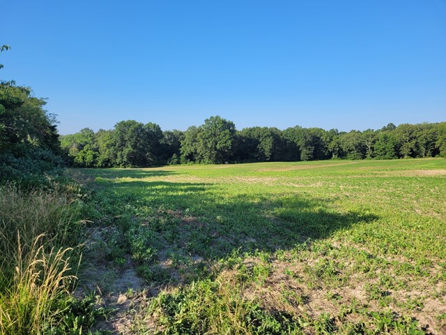 property listing
