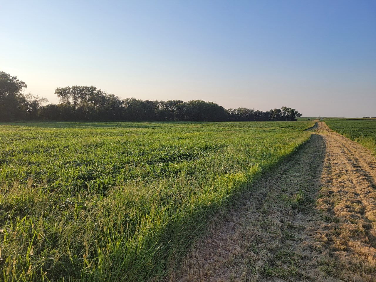 property listing image