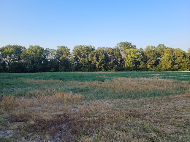 property listing