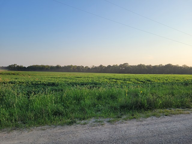 property listing