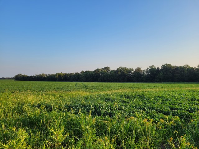 property listing