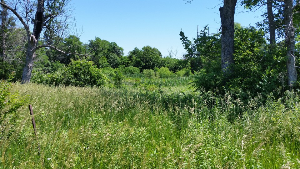 several small ponds