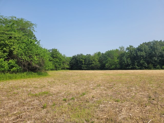 property listing