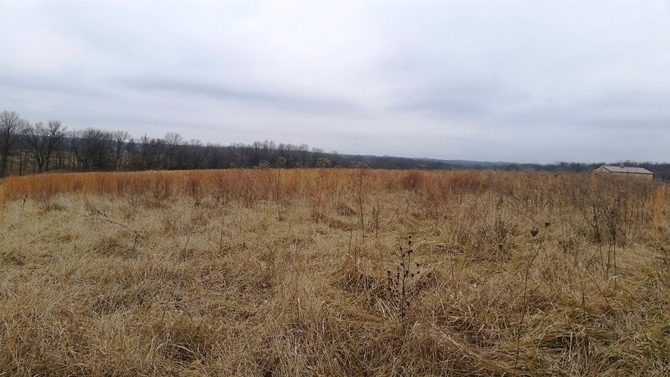 view of the property.