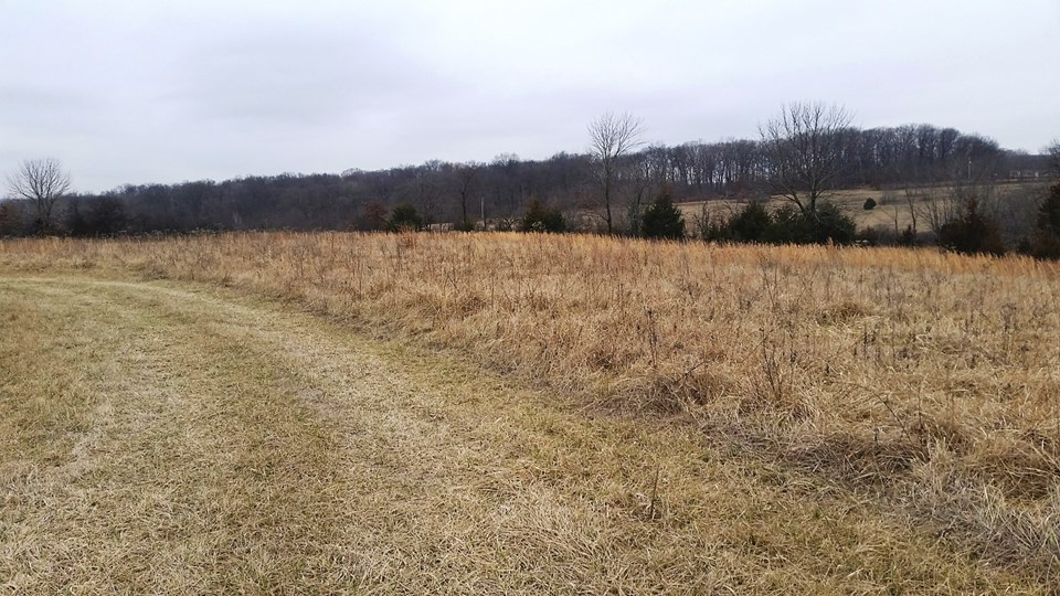 view of the property.