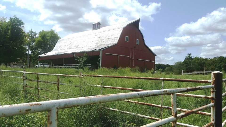 property listing image