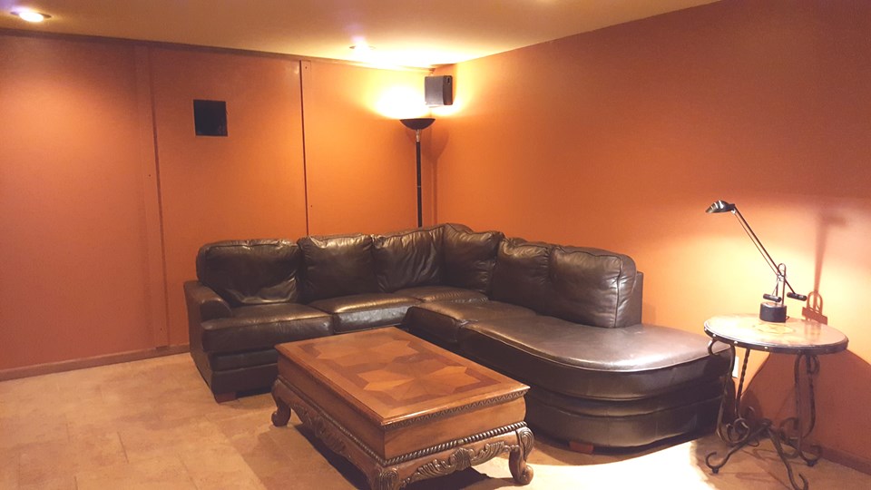 large lower level family room with flu for wood burning stove.