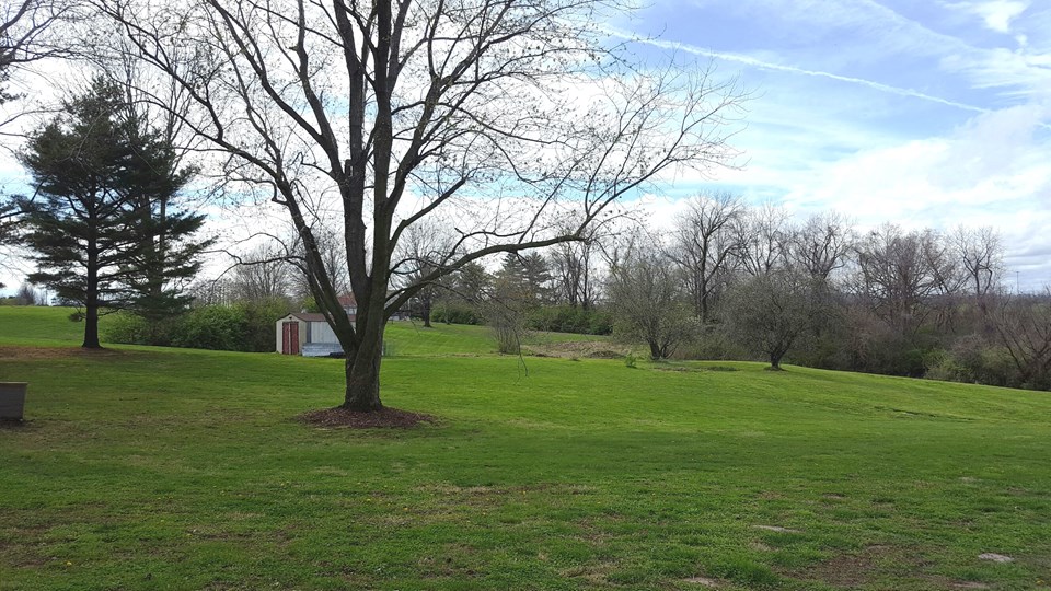 large backyard also includes additional utility shed.